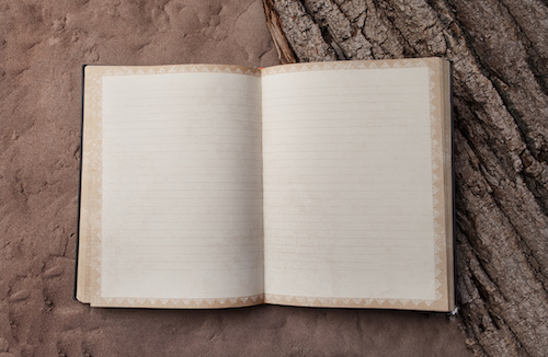 Roman Billet simple pour l'Alaska